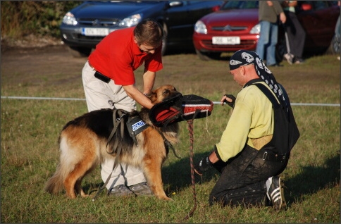 Training in Estonia 9/2007